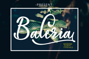 Baleria Script: A Modern Handwritten Typeface for Branding