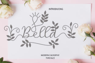 Bella Script Font for Organic Campaign Design