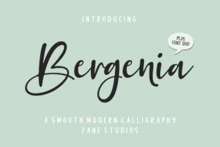 Bergenia Duo Typeface for Modern Branding