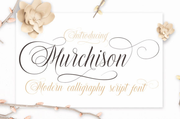 Murchison Font Review: Bold Script for Designers