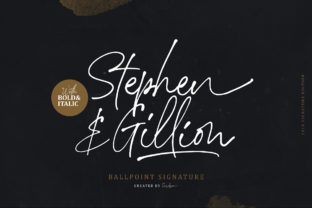 Stephen Gillion Signature Font for Web Design