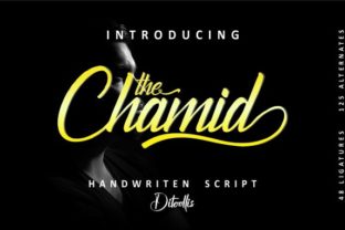 The Chamid: A Modern Script Font for Web Design