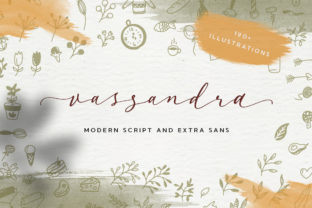 Vassandra Script: A Modern Typeface for Authentic Branding